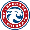Mt. Spokane